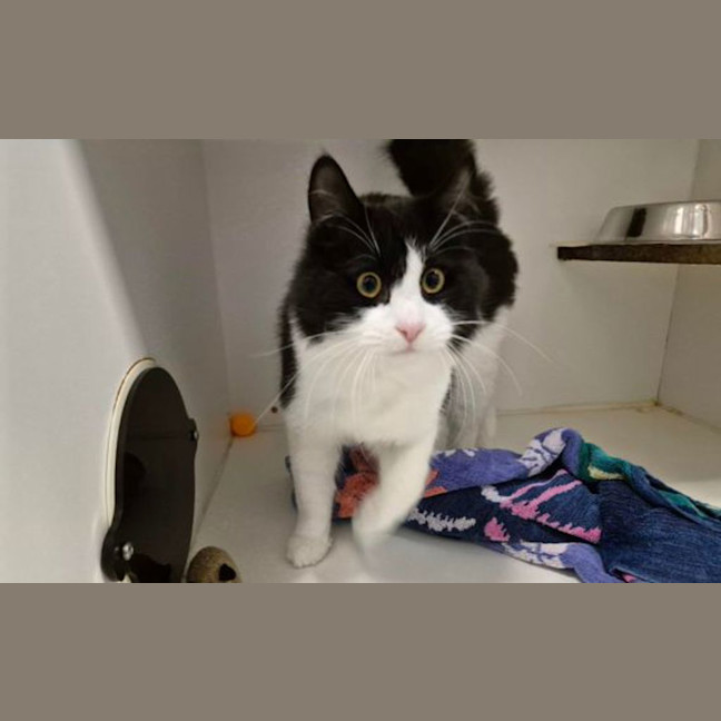 Photo of Percy