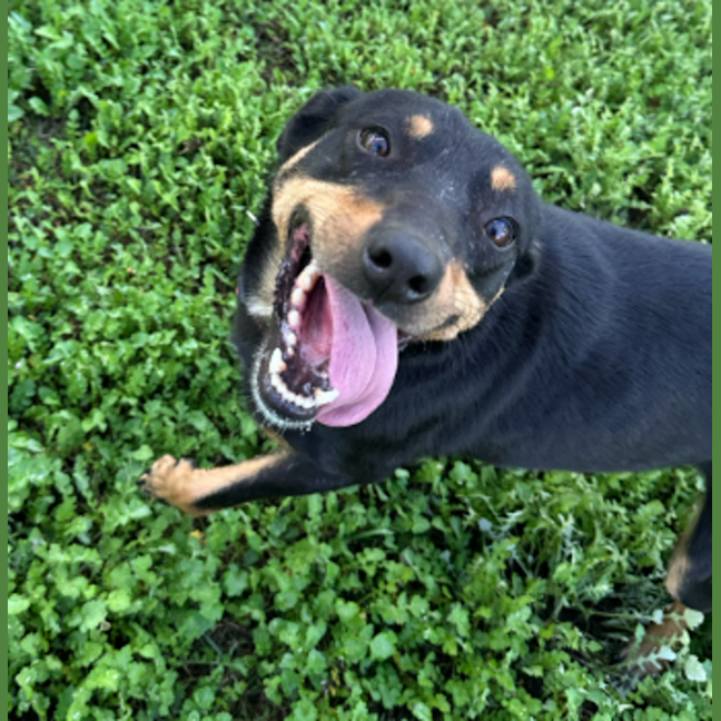 Photo of Lexi