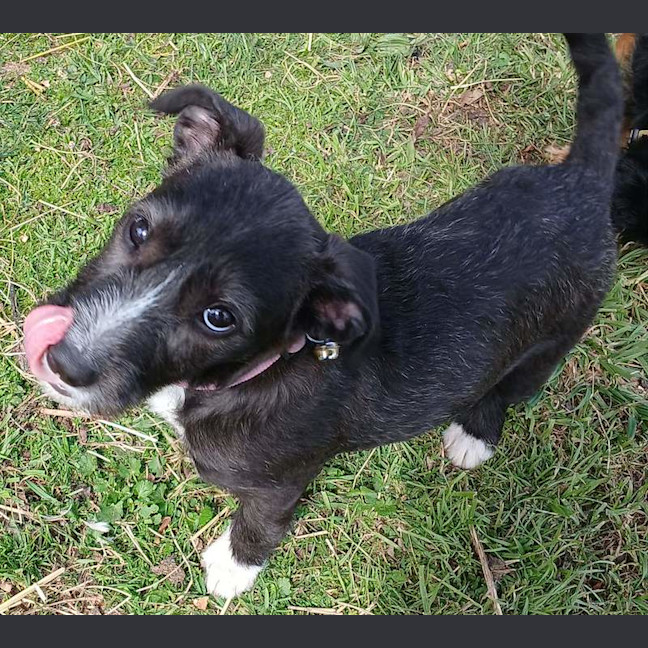 Photo of Freya