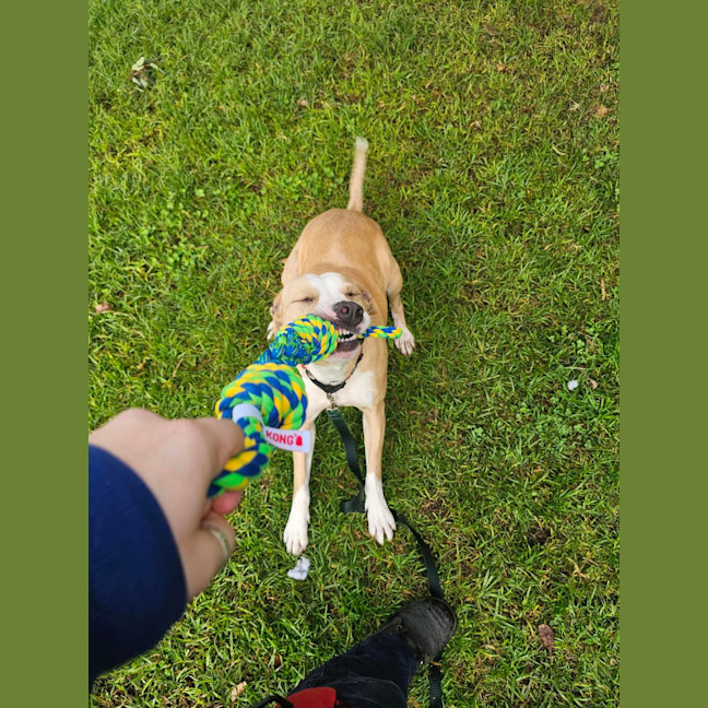 Photo of Fifi 