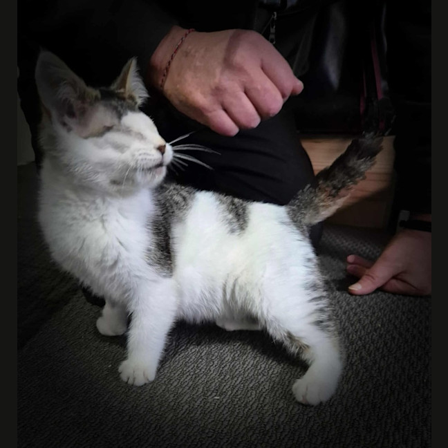 Photo of Ray Charles