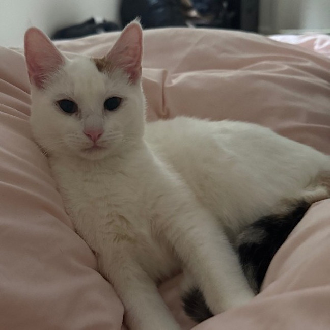 Photo of Shelly