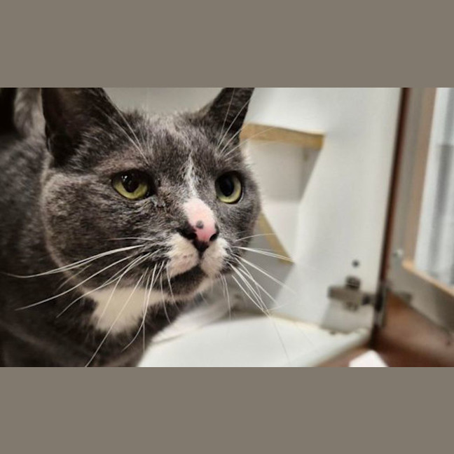 Photo of Charley