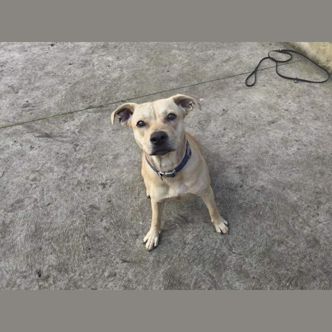 Photo of Nelly Imp 1712