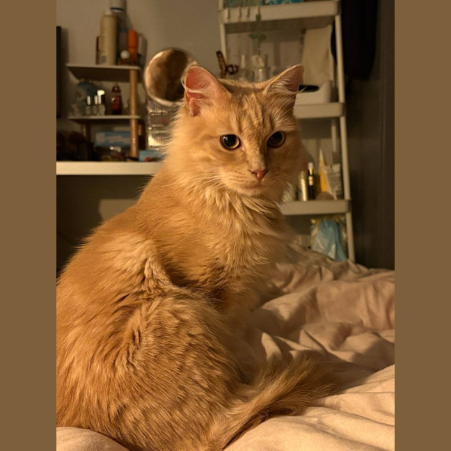 Photo of Leila