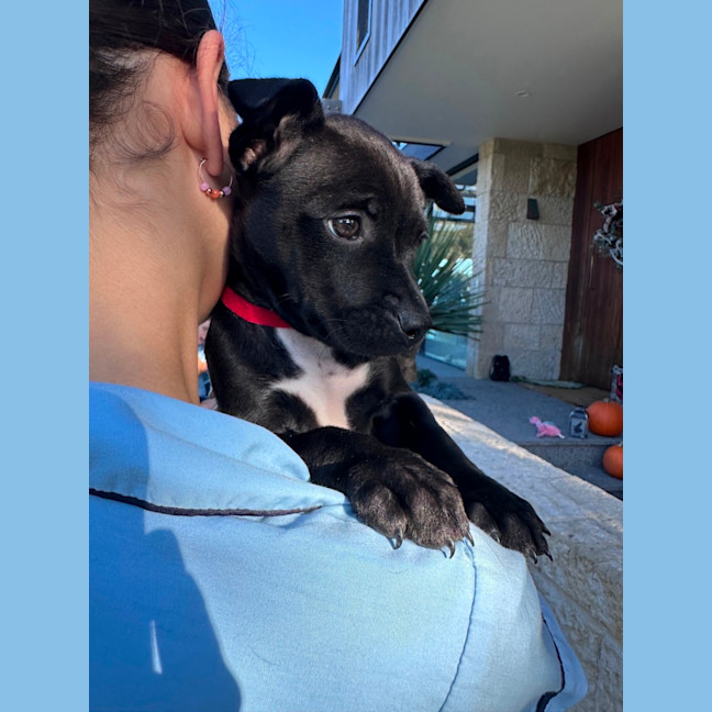 Photo of Pippa