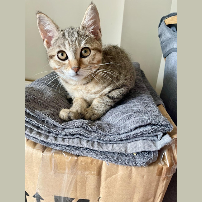 Photo of Timmy