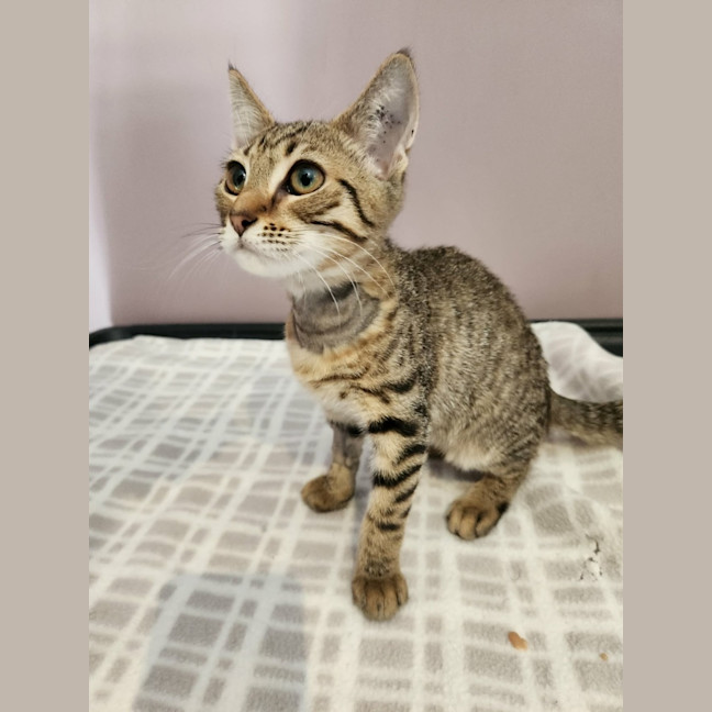 Photo of Andy   On Display @ Vets On Parker