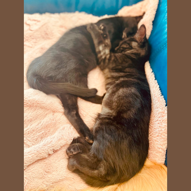 Photo of Rumor & Cider