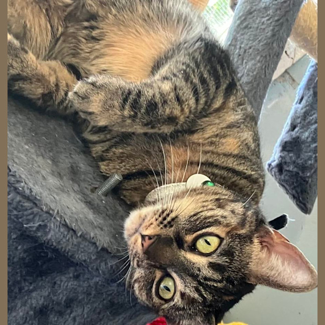 Photo of Jill