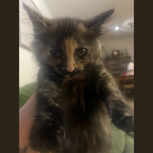 Photo of Patsy