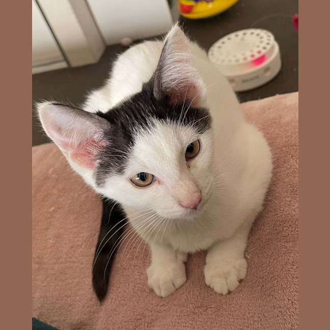 Photo of Bonny