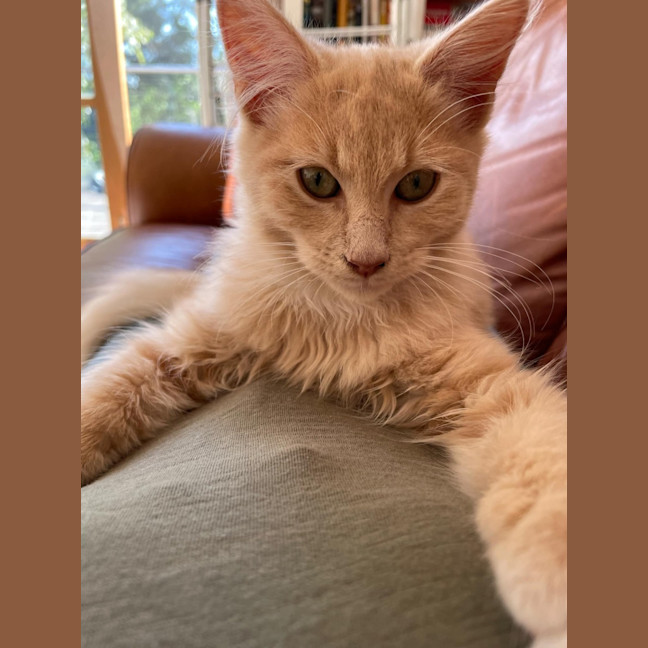 Photo of Trevor 💙