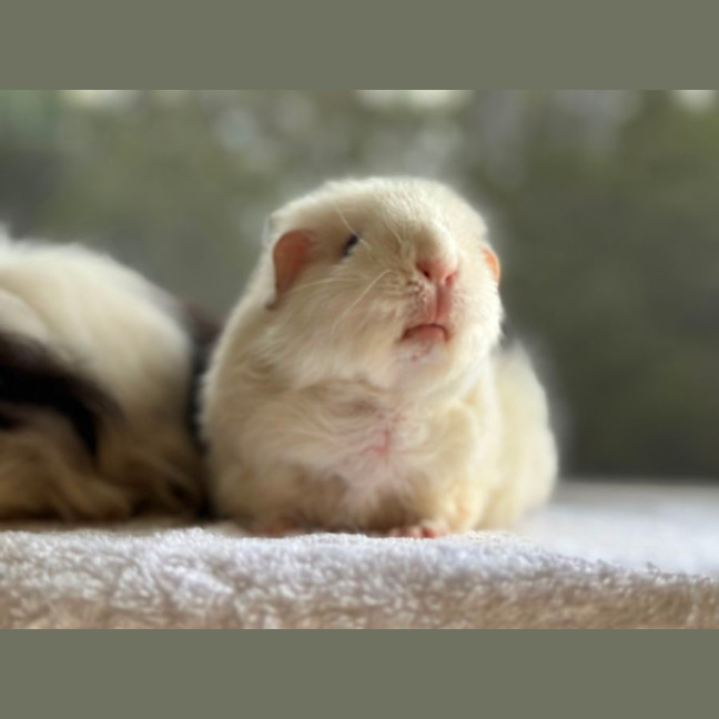 Photo of Taylor & Swift