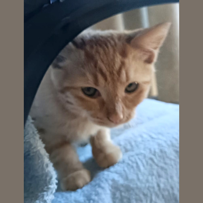 Photo of Sunnysideup