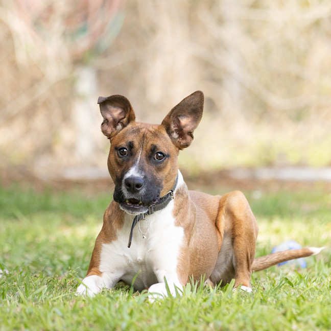 Photo of Buster
