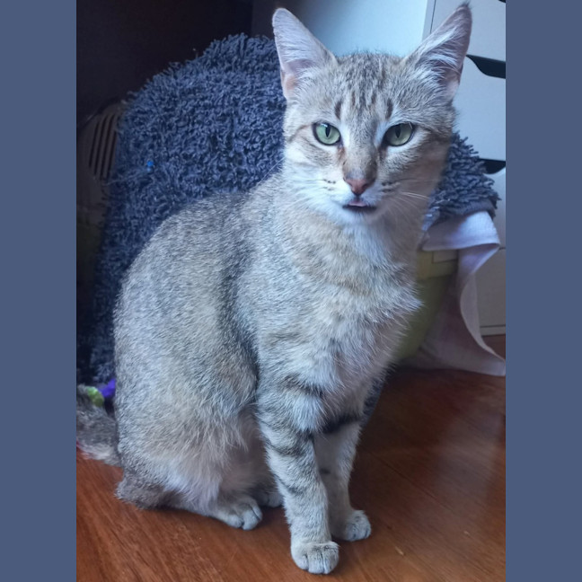 Photo of Esmerelda (Essie) 