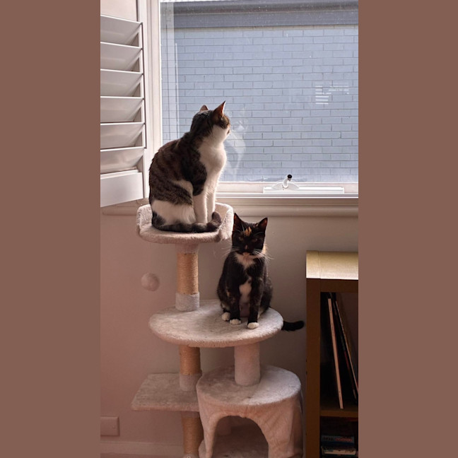 Photo of Praline