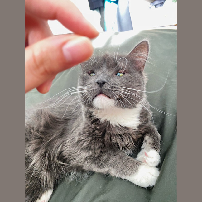 Photo of Arlo