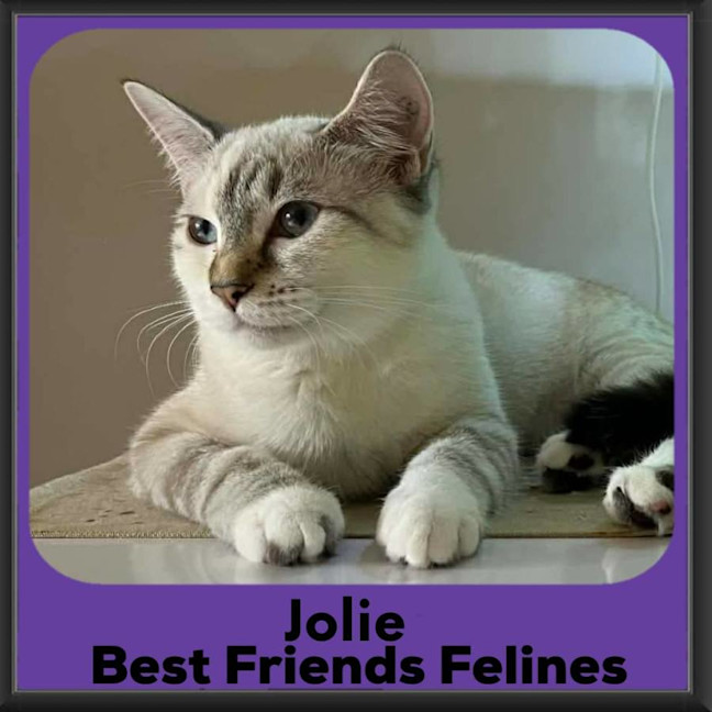 Photo of Jolie 