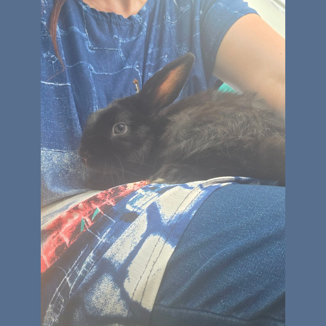 Photo of Kole & Zestful Wildy 