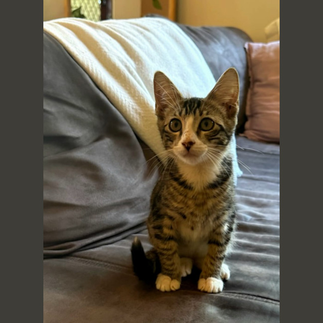 Photo of Elric