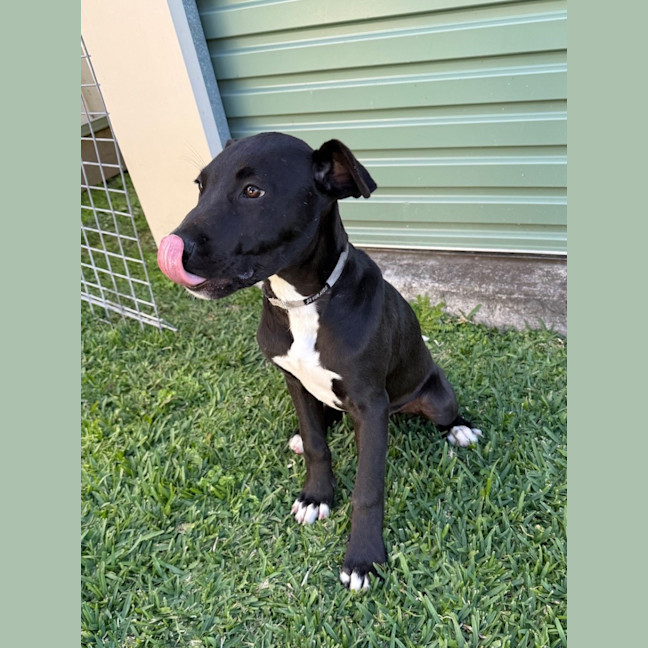 Photo of Guiness