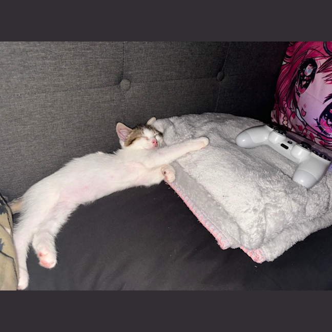 Photo of Lexii