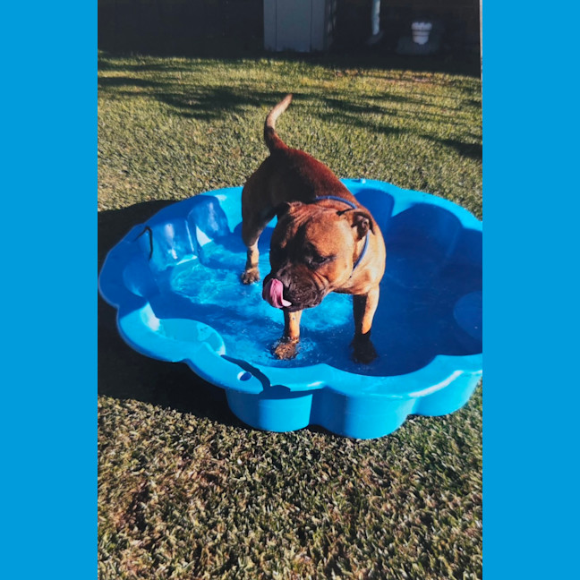 Photo of Bambino And Sammi 