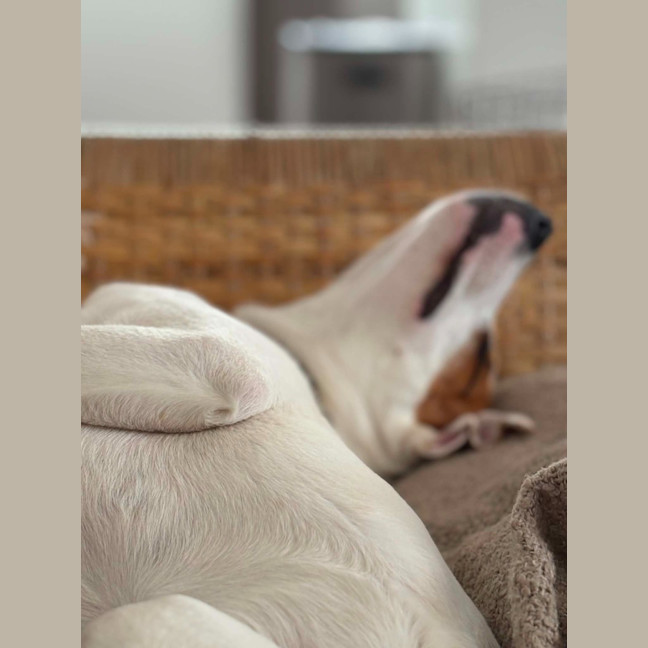 Photo of Molly