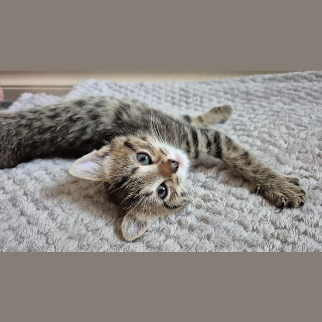 Photo of Winnie