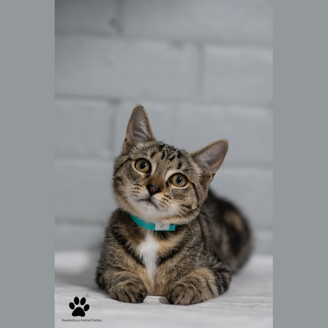 Photo of Tom