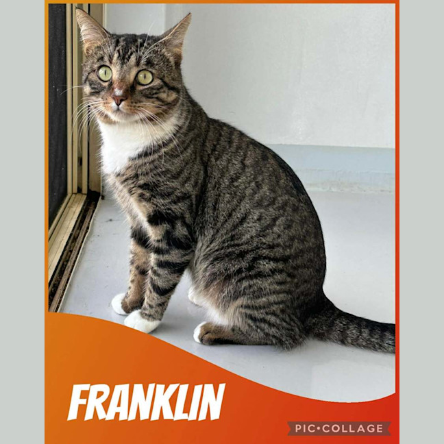 Photo of Franklin 