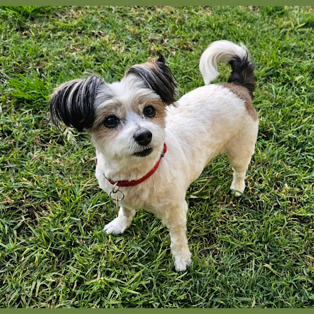 Photo of Senorita