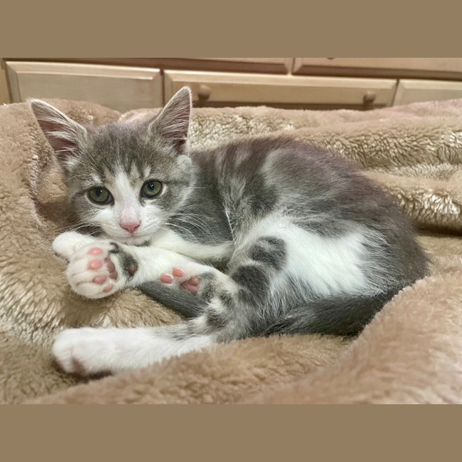 Photo of Minnie Mimi