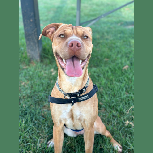 Photo of Ember
