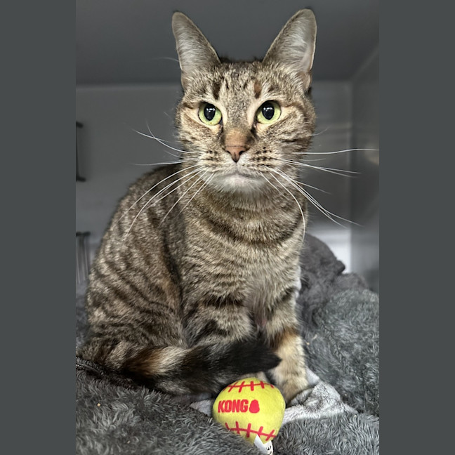 Photo of Delilah 