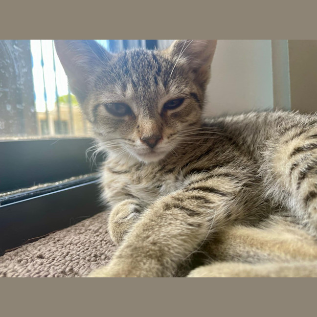 Photo of Evie