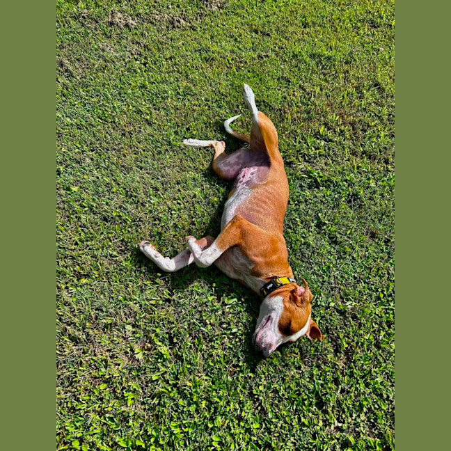Photo of Grace
