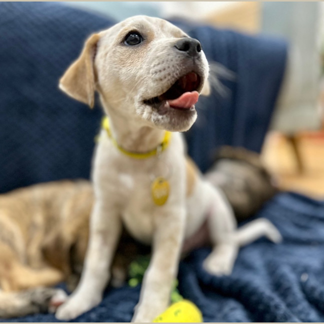 Photo of Mimzy