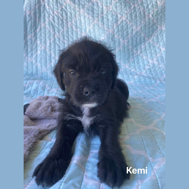 Photo of Kemi