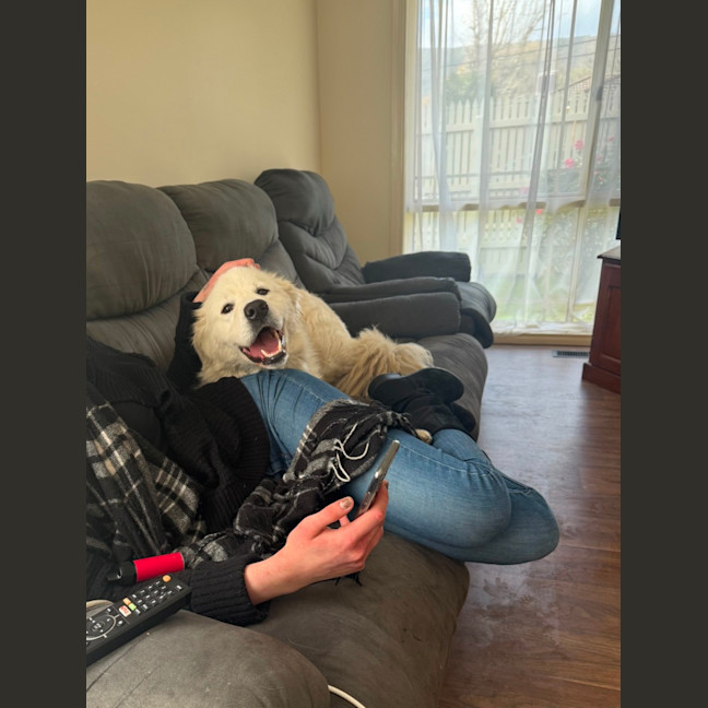 Photo of Lyra