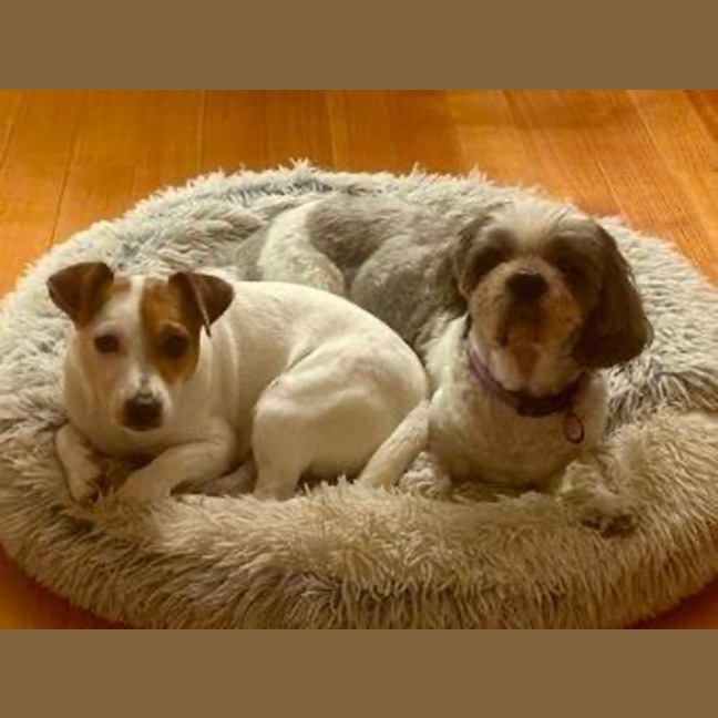 Photo of Jacky Chan Peggotty