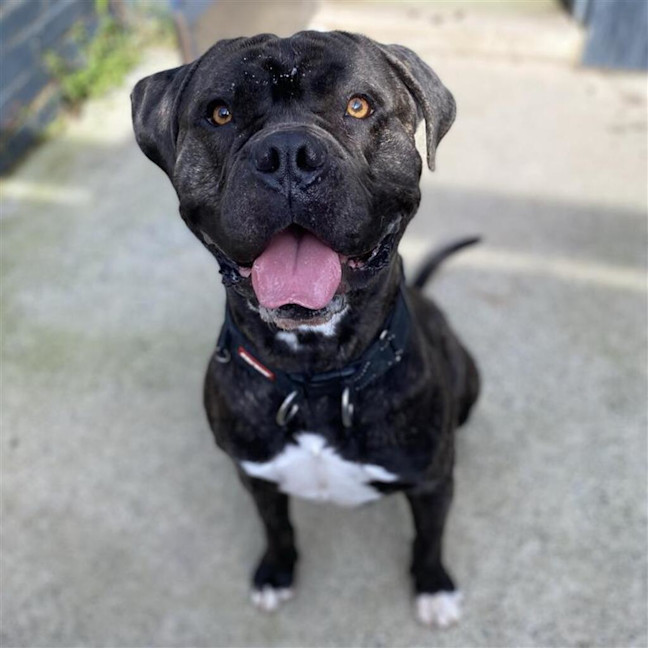 Photo of Duncan