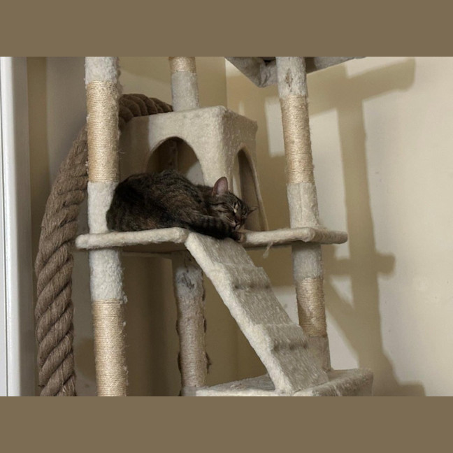 Photo of Aster Uffelman