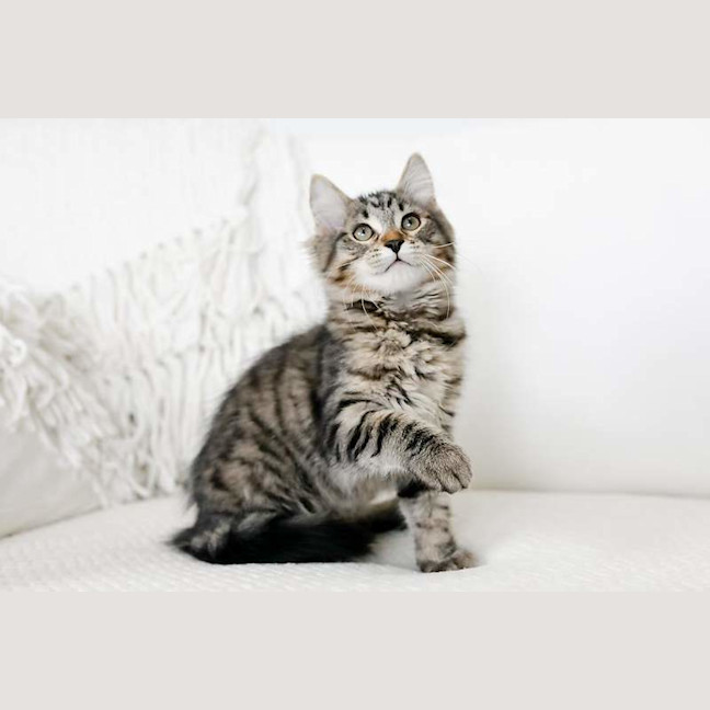 Photo of Ralph