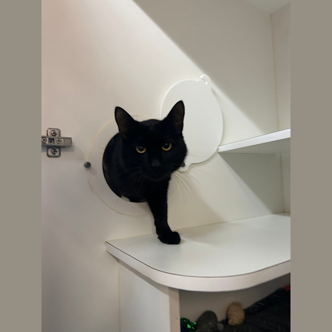 Photo of Sabre