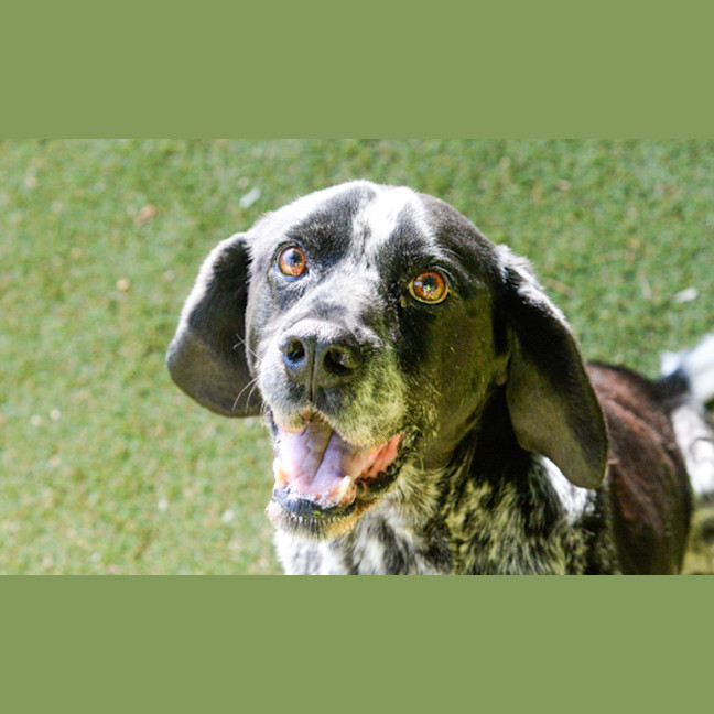 Photo of Ozzie