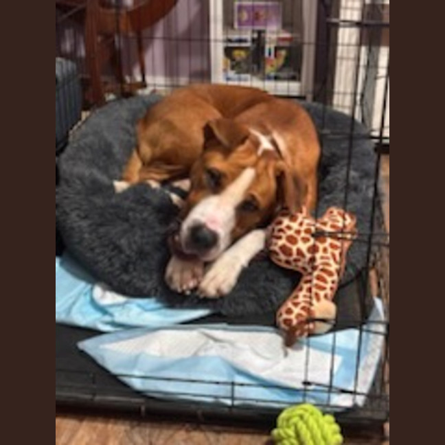 Photo of Boof ** A Divine Boy **