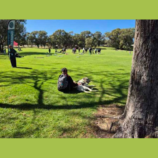 Photo of Ricky Bobby